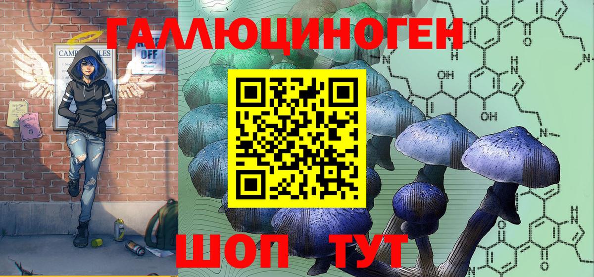 Псилоцибиновые грибы Cubensis Королёв