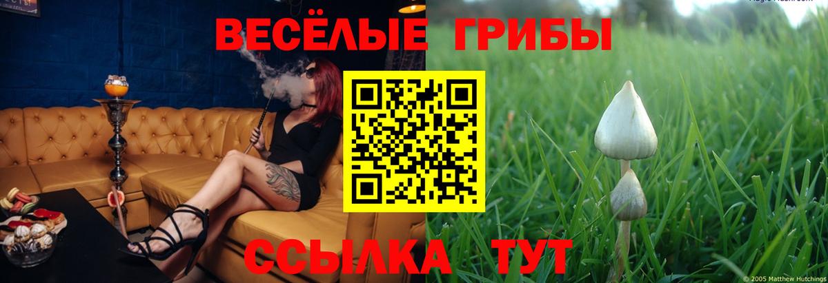 Псилоцибиновые грибы Magic Shrooms  Вход с VPN  Королёв 